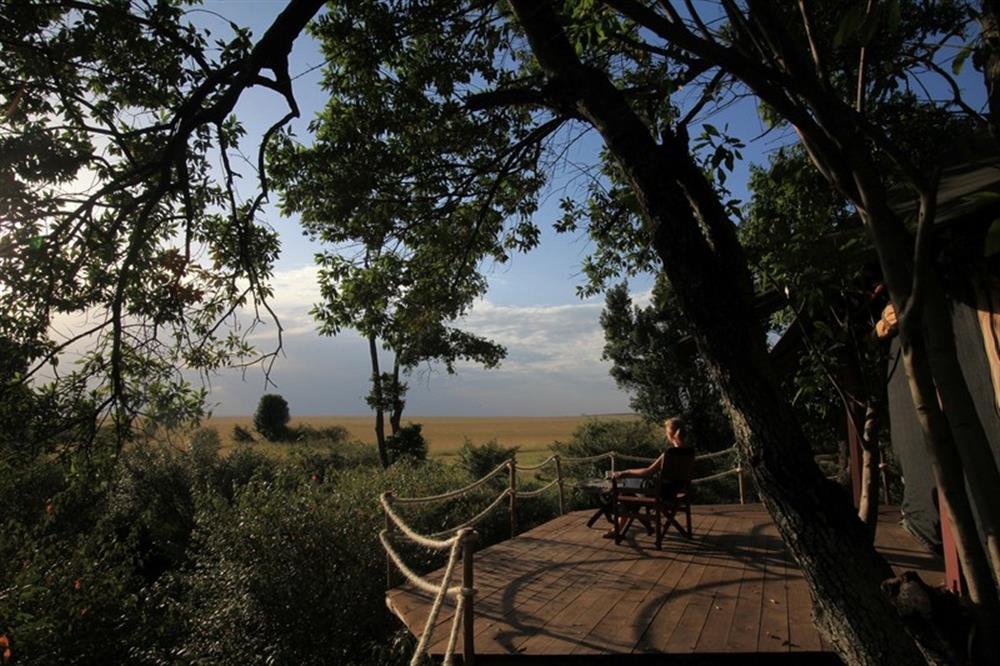 Mara Plains Camp