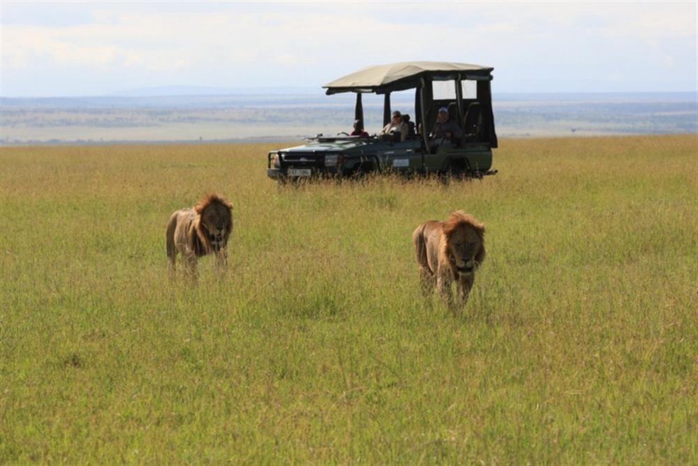 Mara Plains Camp