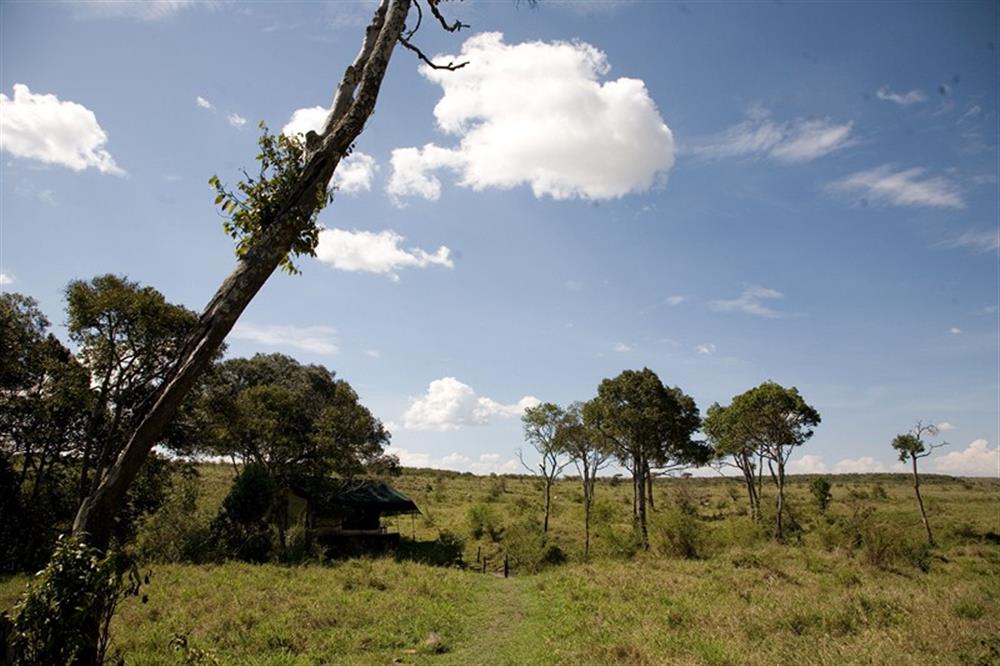 Offbeat Mara Camp