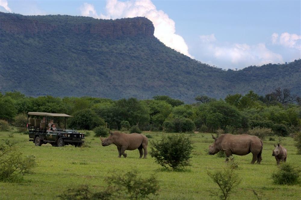 Marataba Safari Lodge