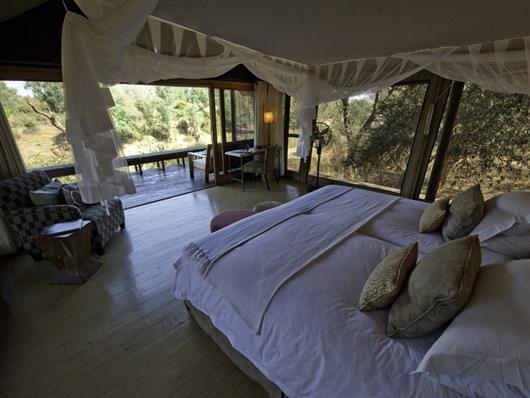 Parfuri Camp