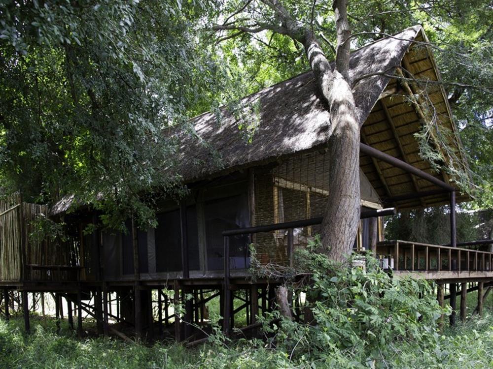 Parfuri Camp