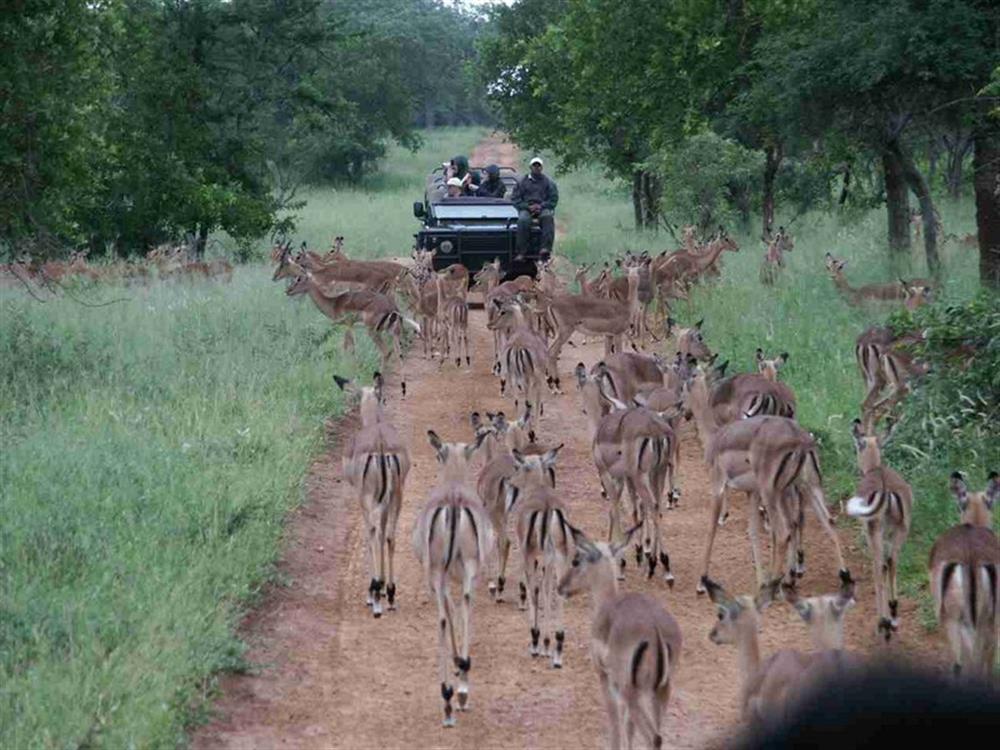 Shumbalala Lodge