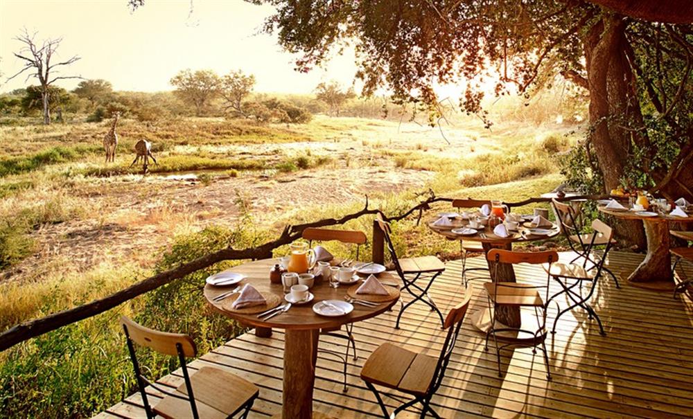 Motswari Safari Lodge