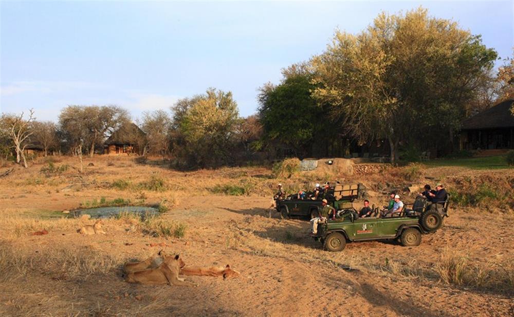 Motswari Safari Lodge