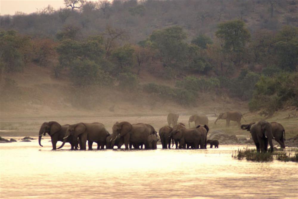 Simbavati River Lodge