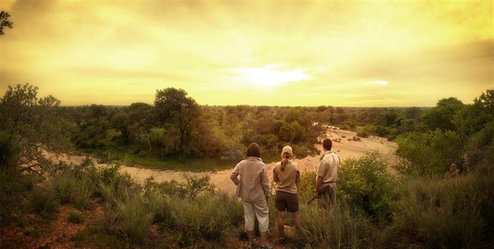 Tanda Tula Safari Camp