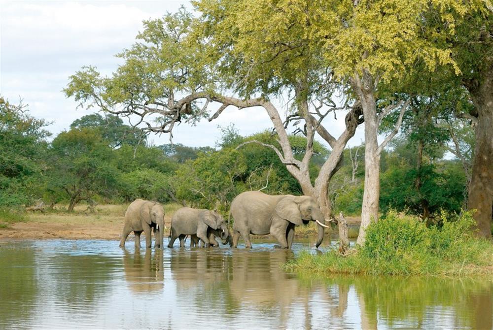 Waterbuck Private Camp