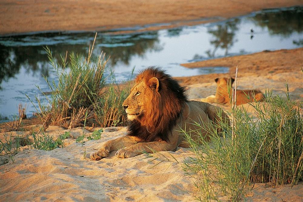 Waterbuck Private Camp