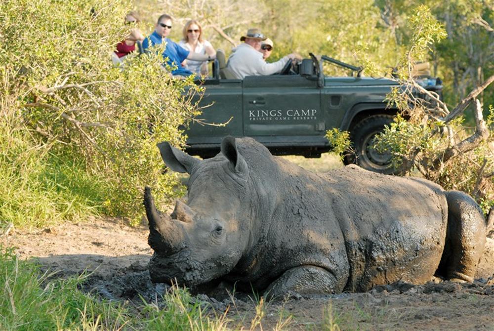 Waterbuck Private Camp