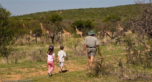 Ant's Nest Lodge