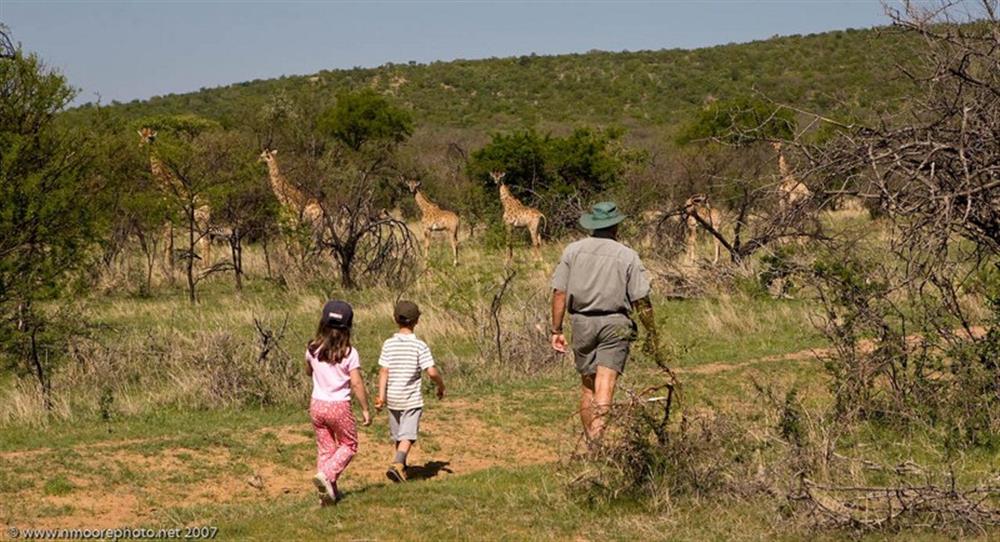 Ant's Nest Lodge