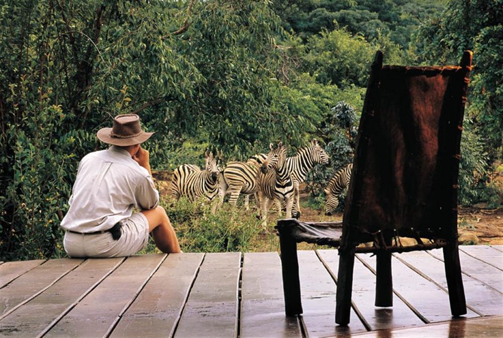 Makweti Safari Lodge