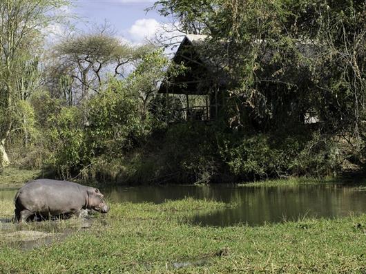 Mvuu Wilderness Lodge