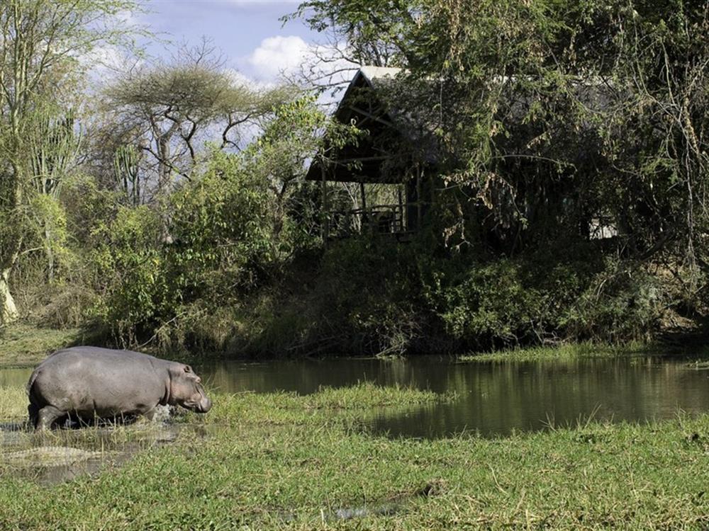 Mvuu Wilderness Lodge