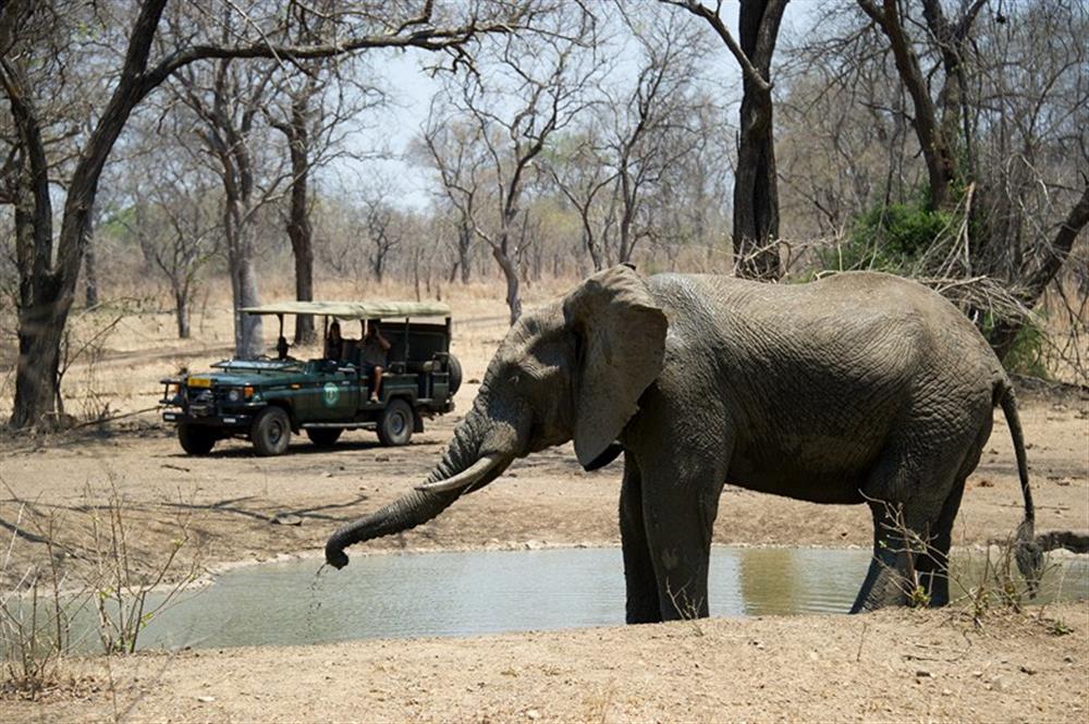 Mkulumadzi Lodge