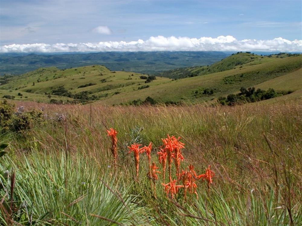 Chelinda Lodge