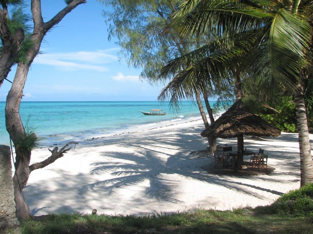 Pongwe Beach Hotel