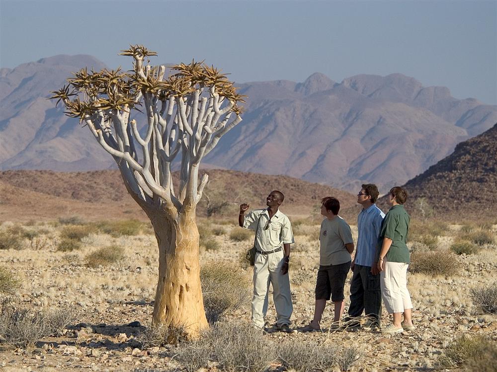 Kulala Desert Lodge