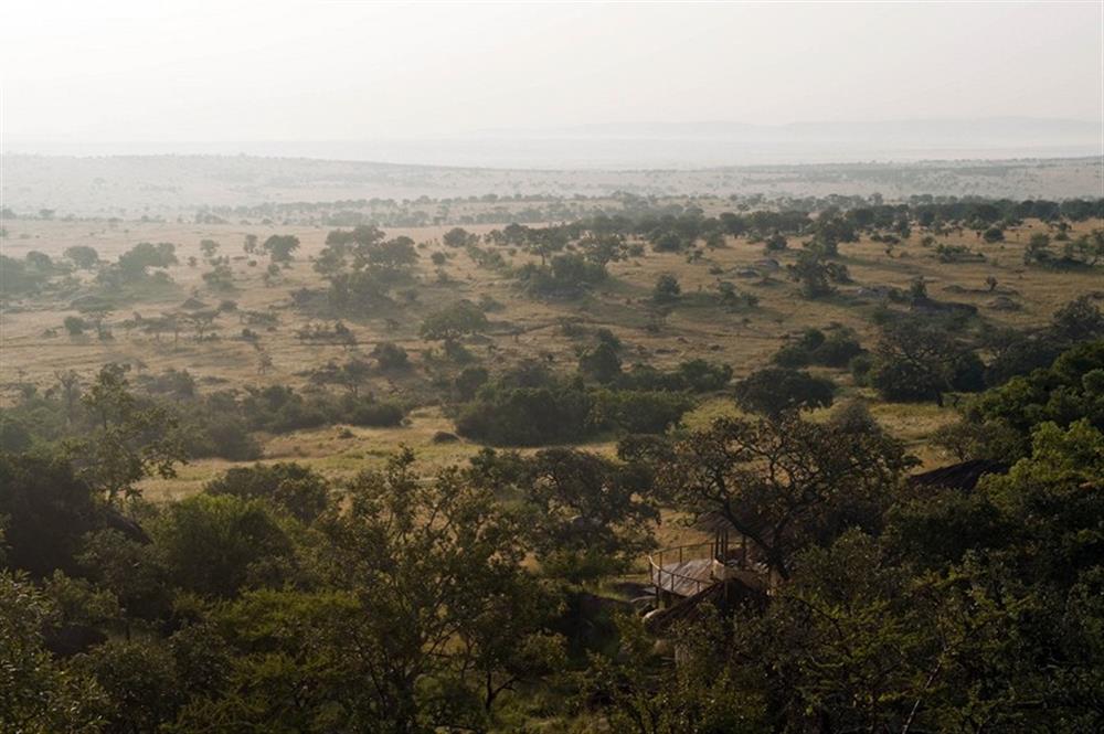 Lamai Serengeti
