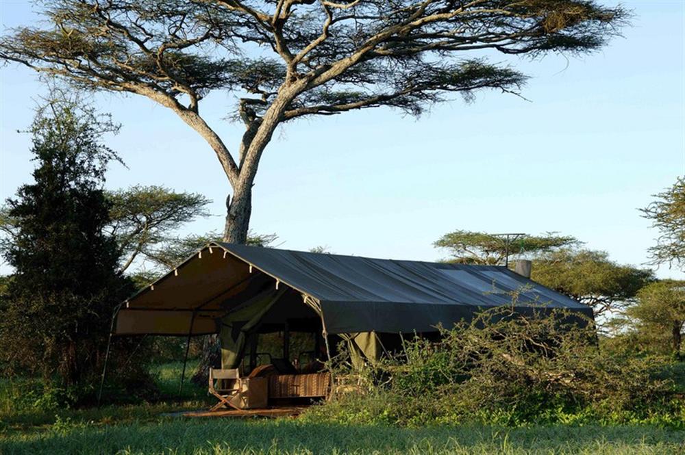 Serengeti Safari Camp