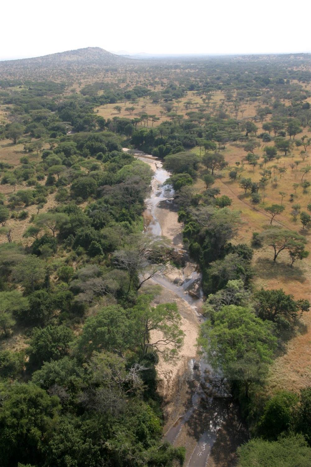 Singita Faru Faru Lodge