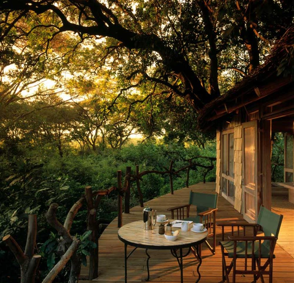 Lake Manyara Tree Lodge