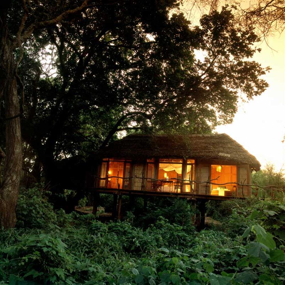 Lake Manyara Tree Lodge