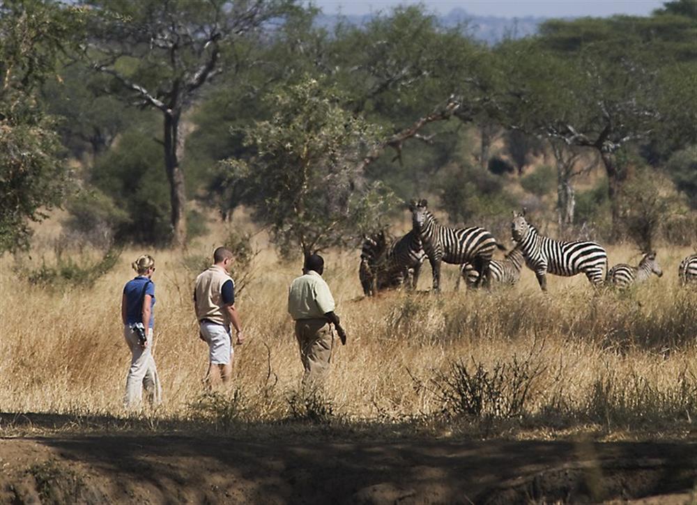 Sanctuary Swala Camp