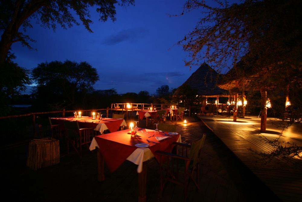 Impala Camp