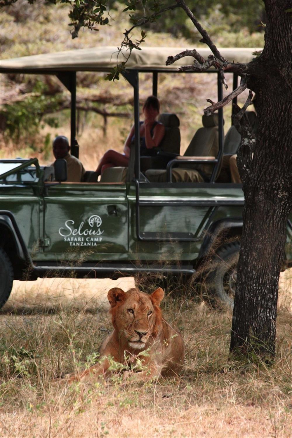 Siwandu (previously Selous Safari Camp)