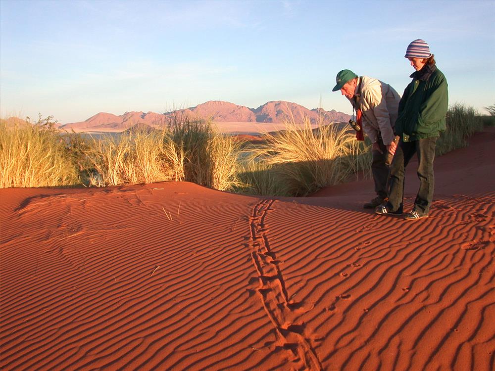 Wolwedans Dune Camp