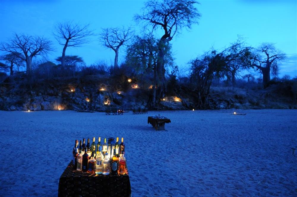 Mwagusi Safari Camp