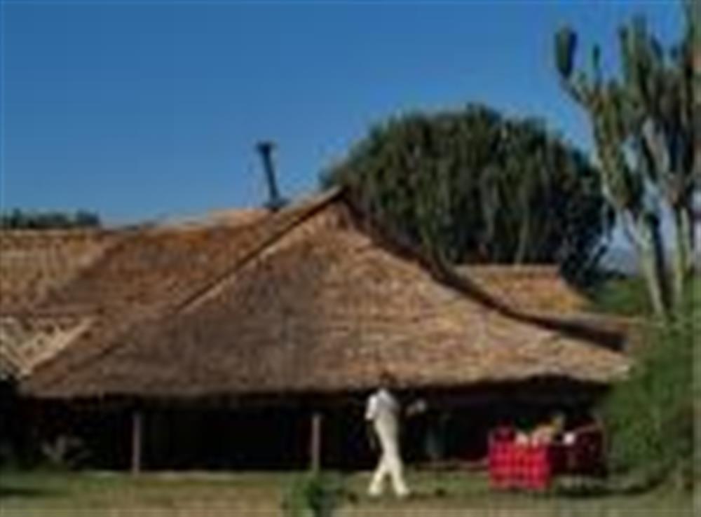 Mbweha Camp