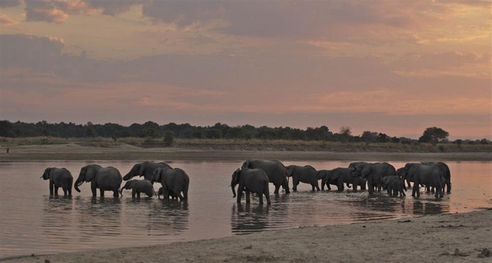 Chamilandu Bush Camp