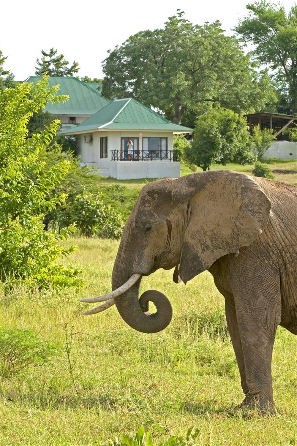 Chichele Presidential Lodge