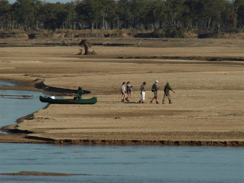 Chikoko Tree Camp