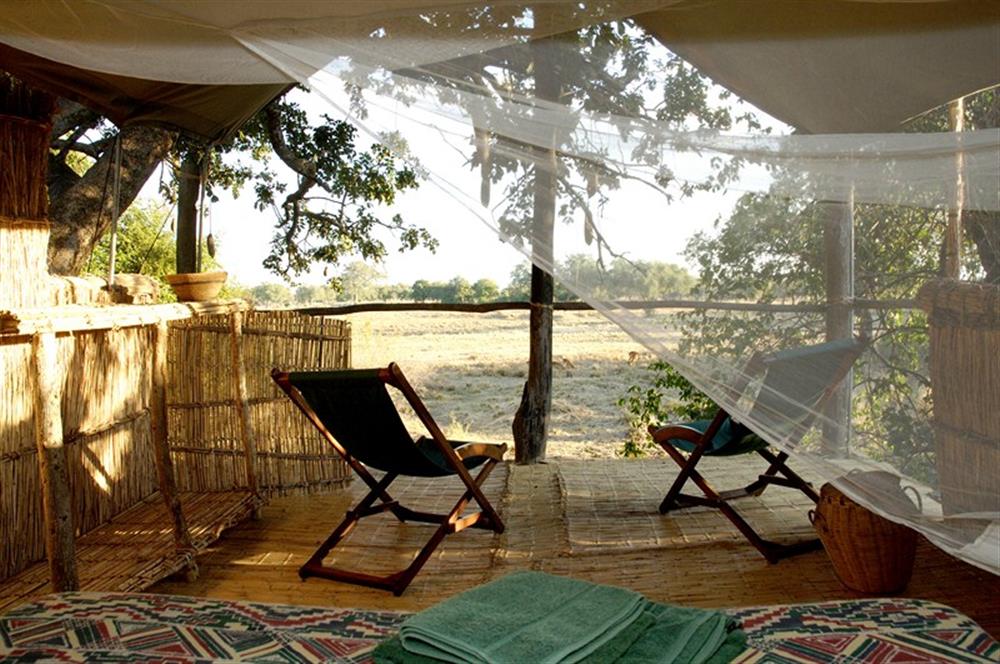 Chikoko Tree Camp