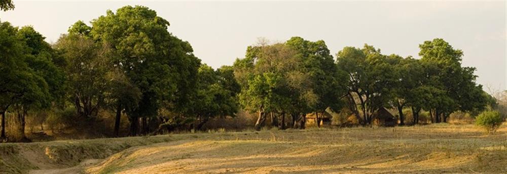 Crocodile River Camp