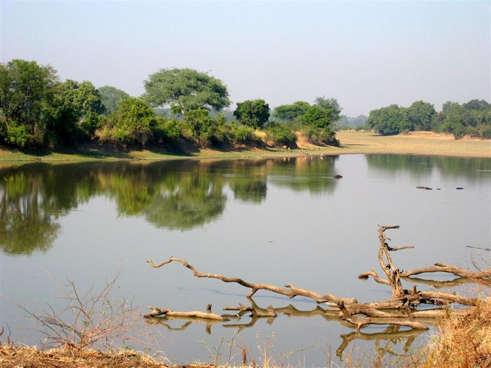 Island Bush Camp