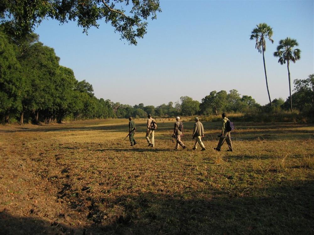 Island Bush Camp