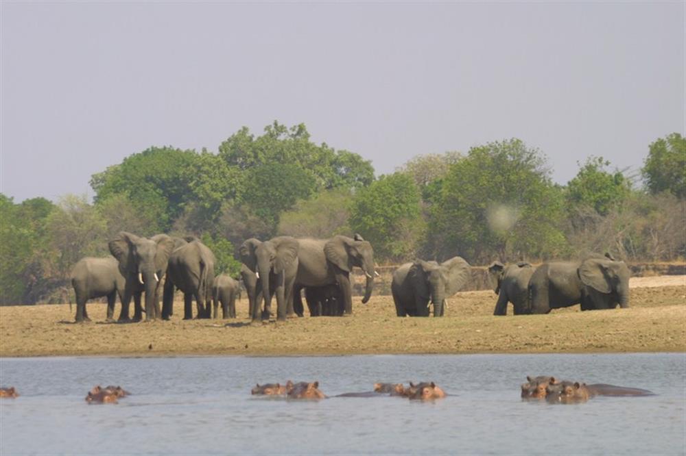 Kalamu Lagoon Camp