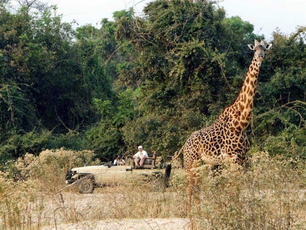 Kalamu Lagoon Camp