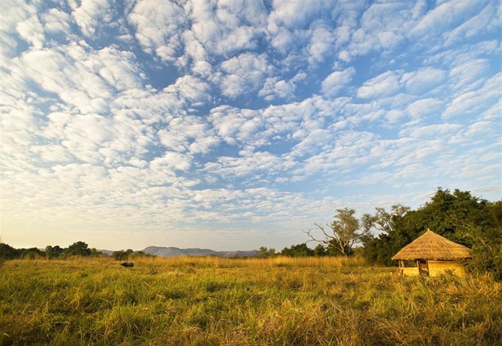 Kuyenda Bush Camp