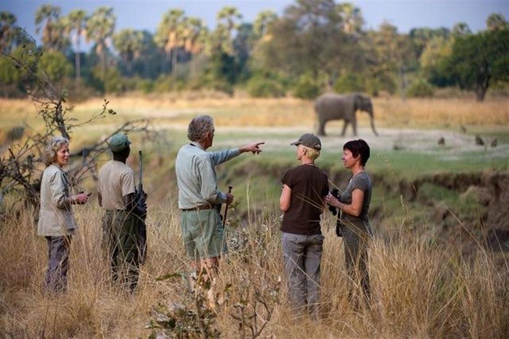 Kuyenda Bush Camp