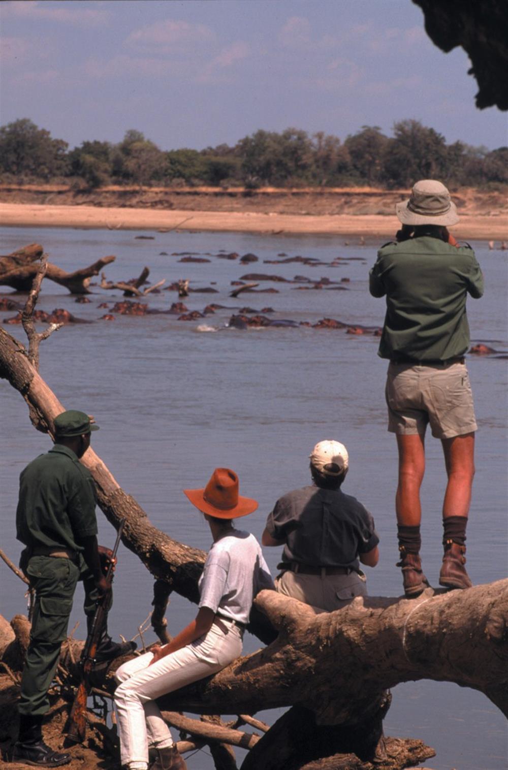 Luangwa River Camp