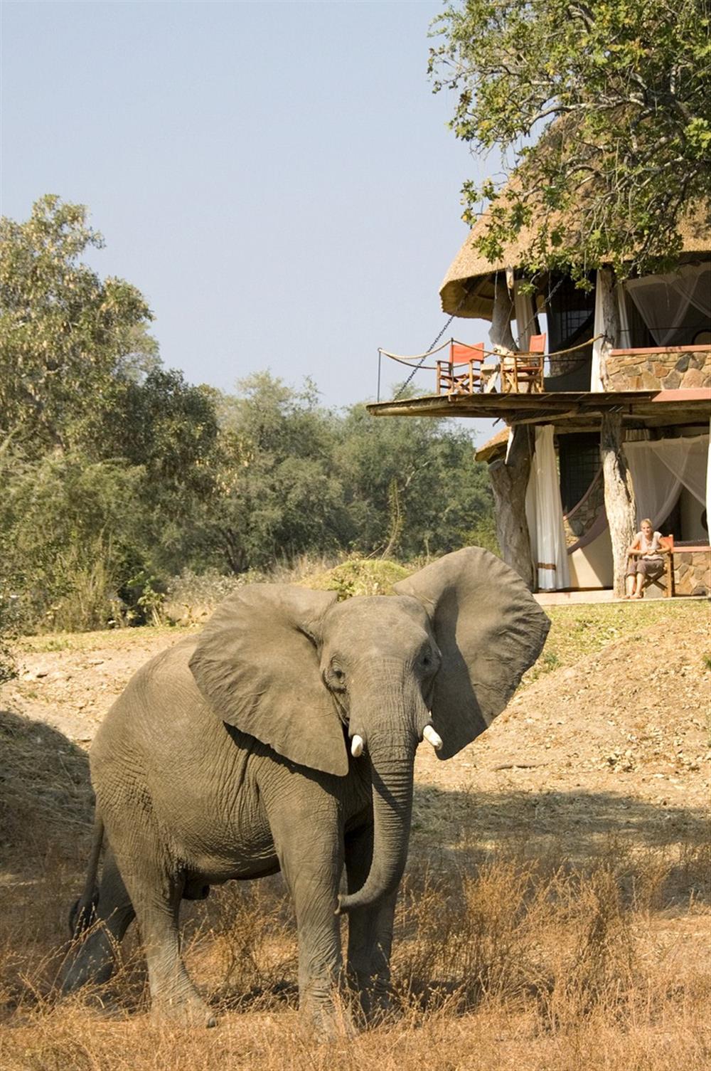 Luangwa Safari House