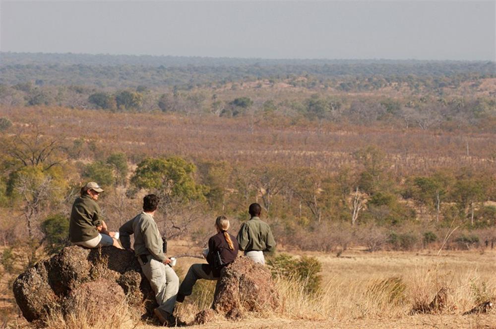 Luwi Bush Camp