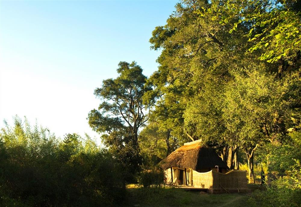 Mchenja Bush Camp