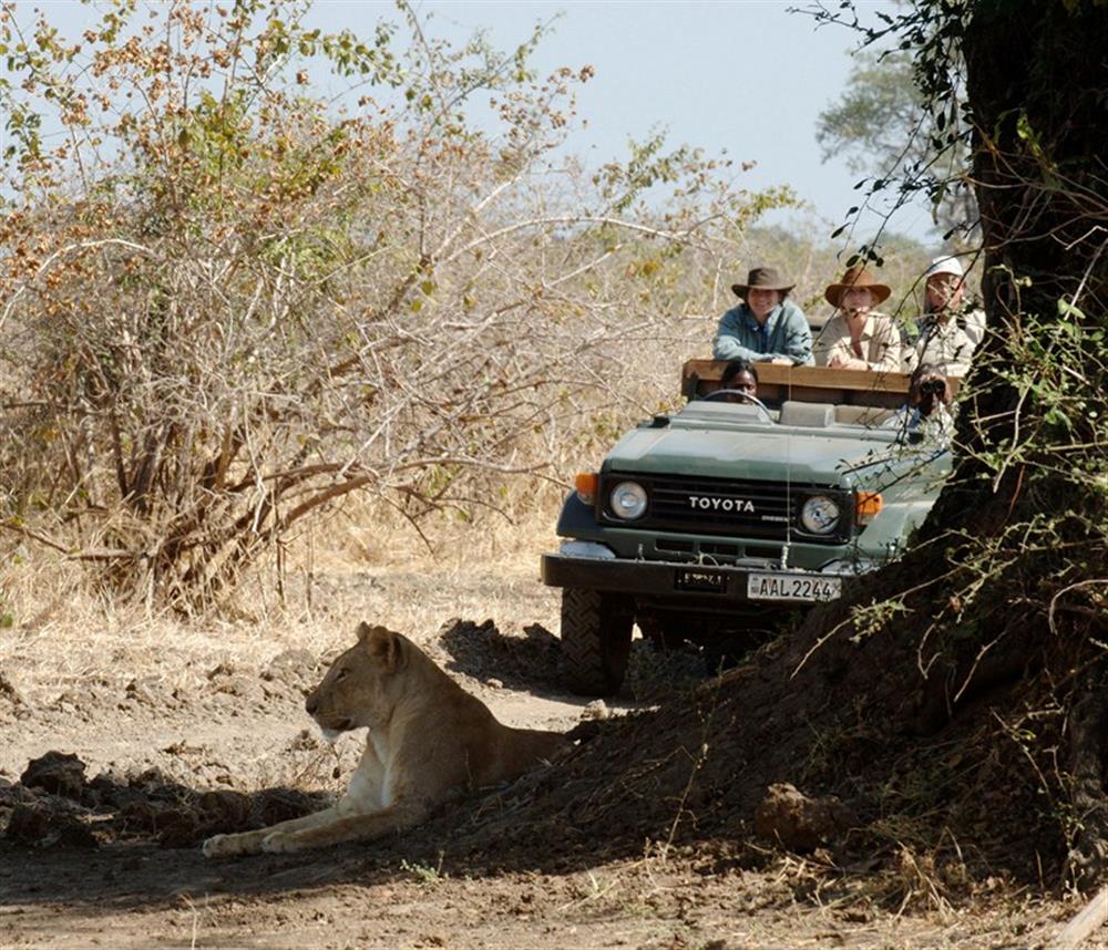 Mchenja Bush Camp